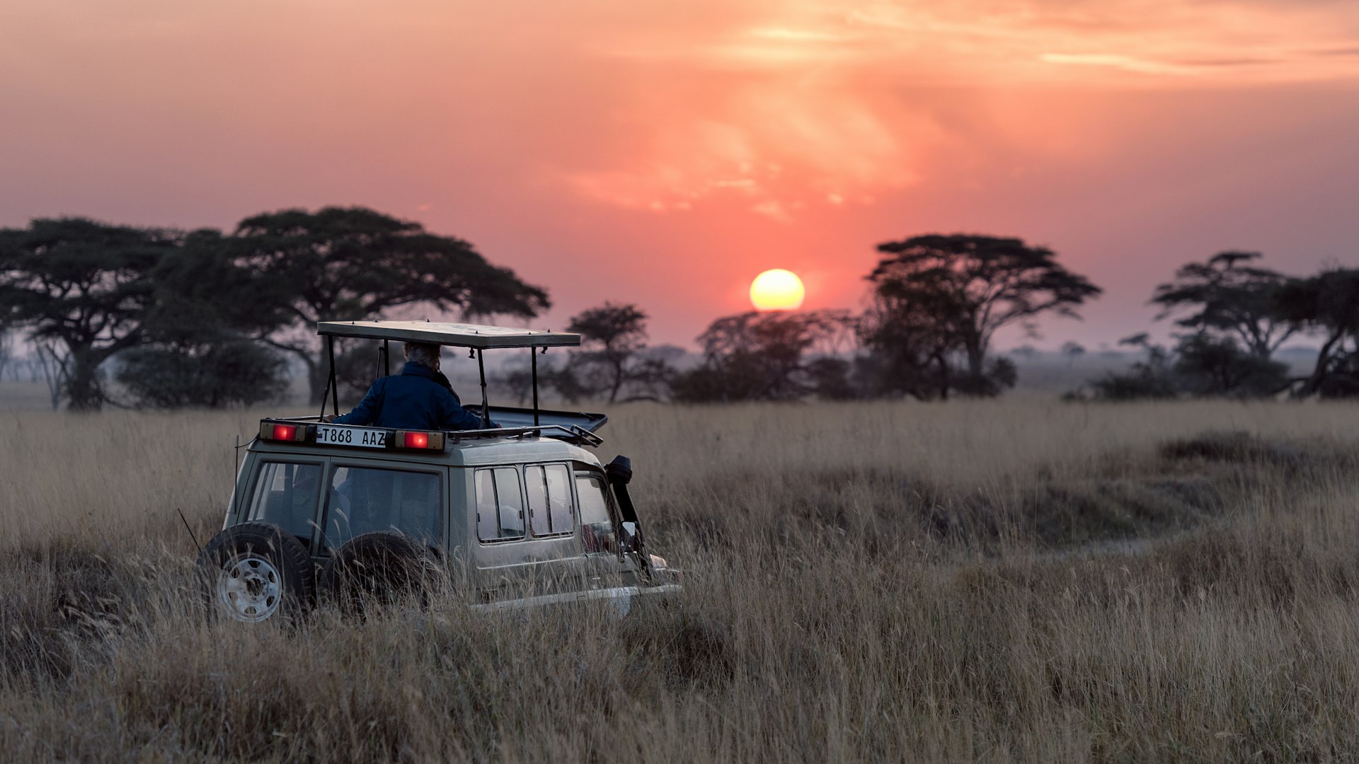 Serengeti National Park, Tanzania